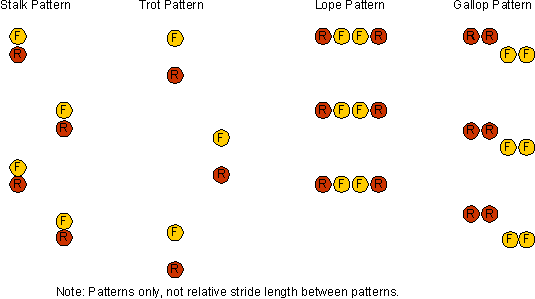 Gait Variations